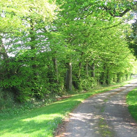 Ballinclea House Bed And Breakfast Brittas Bay 外观 照片