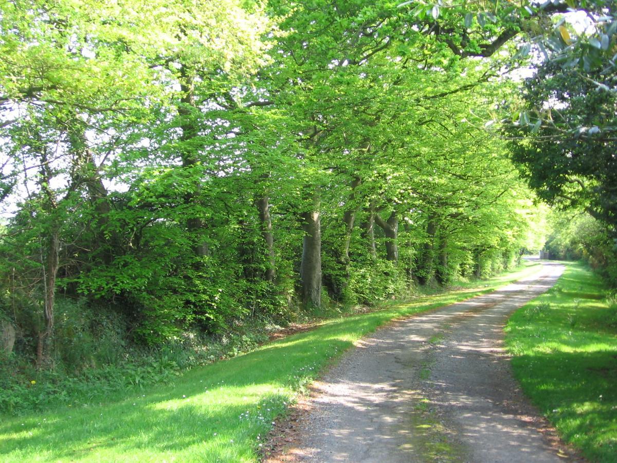 Ballinclea House Bed And Breakfast Brittas Bay 外观 照片